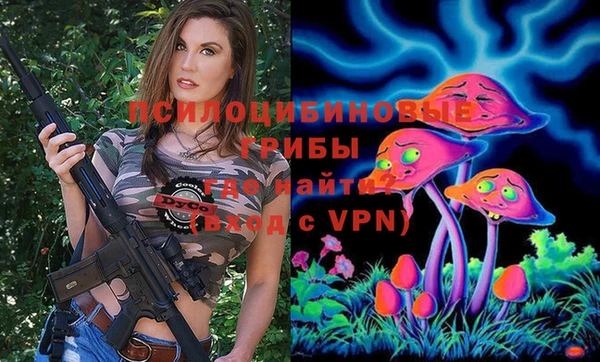 СК Абаза