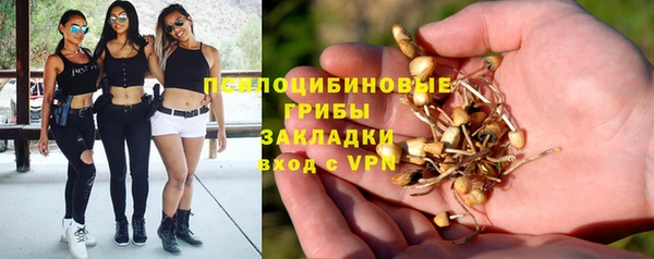 СК Абаза