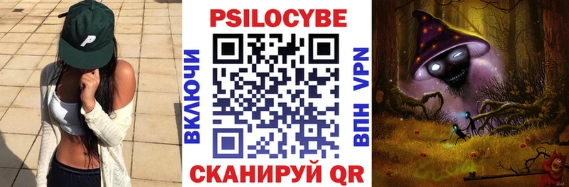 сколько стоит Шилка Псилоцибиновые грибы мицелий
