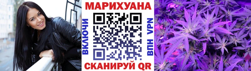 где купить наркоту  Шилка  Канабис VHQ 